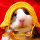Illustration for article titled Put On a New Hat in Your Friday Open Thread